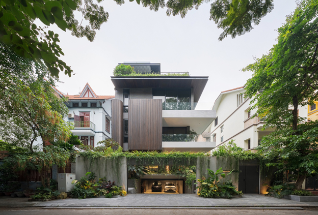 thiết kế lên concept "tổ chim"